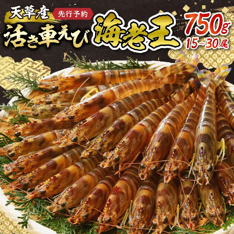S005-007_【鮮度抜群】《美味しさの極み》天草産・幸福堂の活き車えび『海老王』（750g）〈先行予約〉　/ 車エビ 車海老 エビ えび