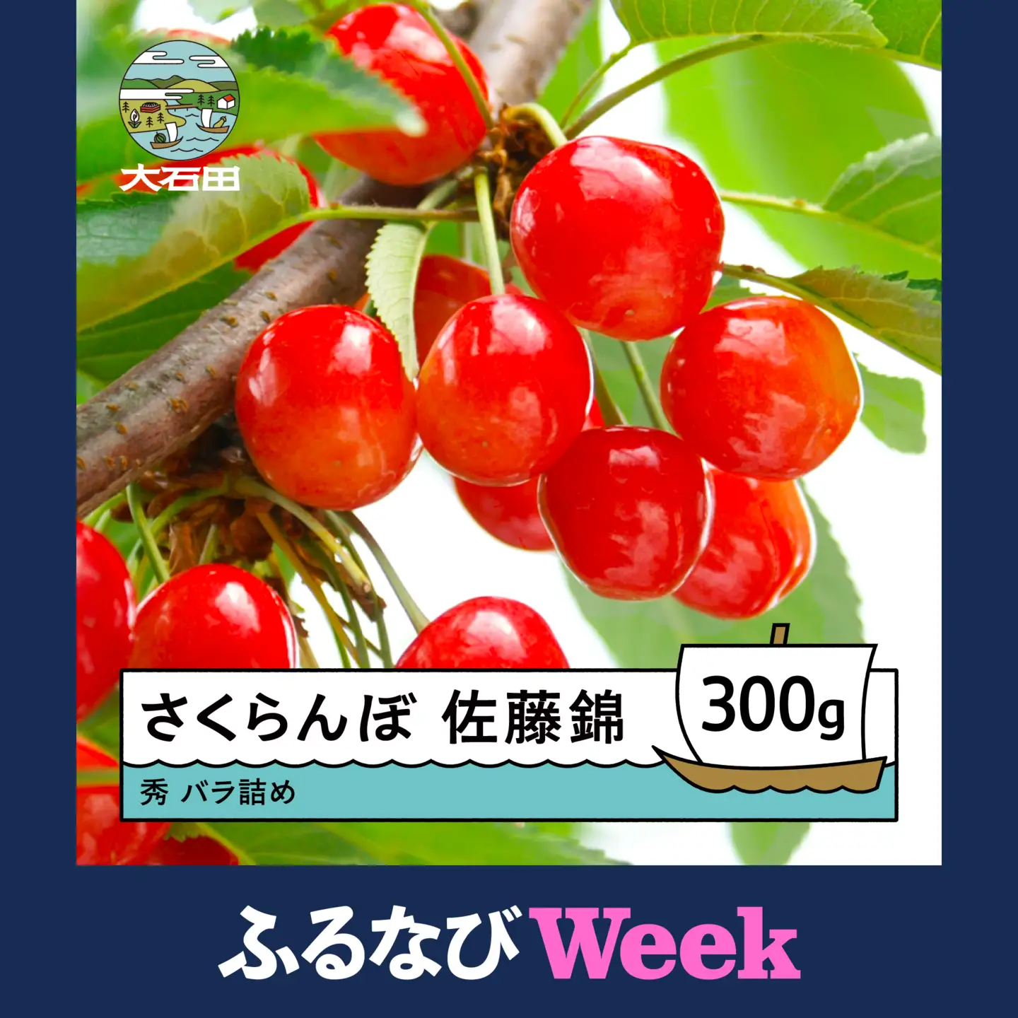【ふるなびWEEK対象】令和8年産 さくらんぼ 佐藤錦 秀 約300g ry-snslb300