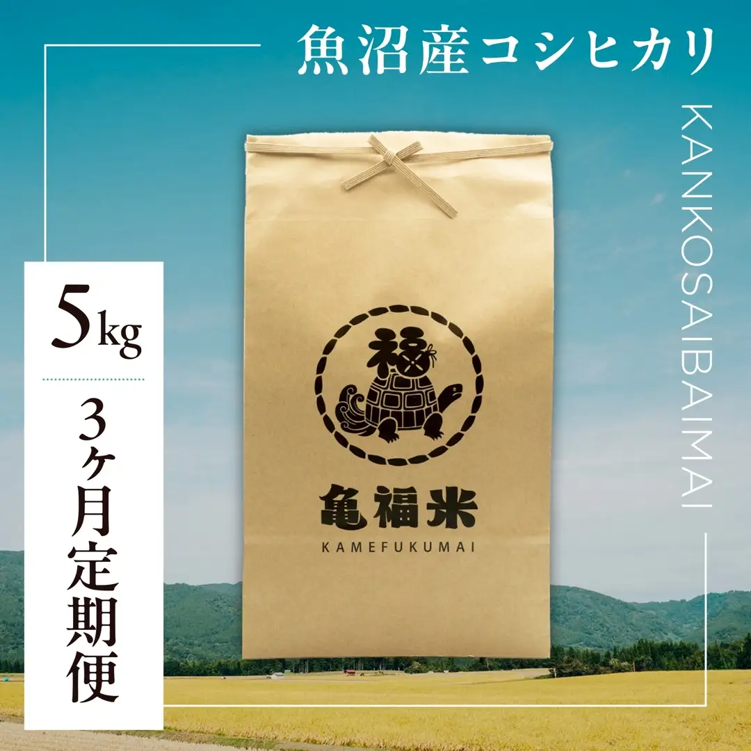 3ヶ月定期便 魚沼産コシヒカリ 亀福 慣行栽培 5kg | 津南町 魚沼 令和7年