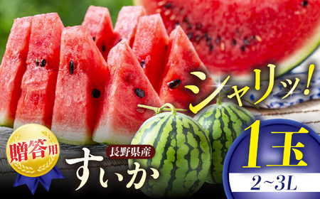 【先行予約】 贈答用 信州松本平産 西瓜 ２～３L １個　～高原の恵みが生んだ、甘くみずみずしい夏の味～