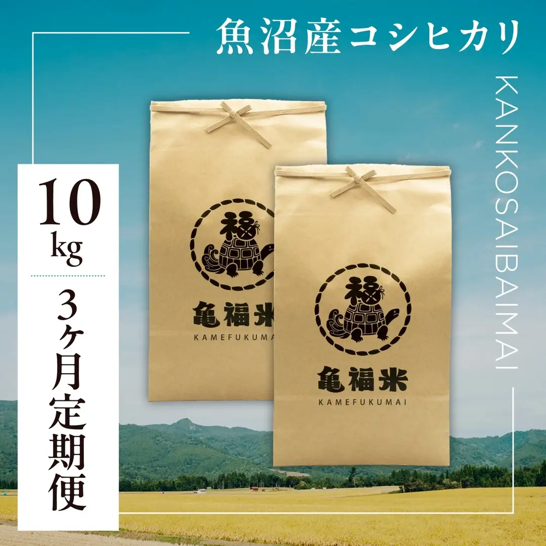 3ヶ月定期便 魚沼産コシヒカリ 亀福 慣行栽培 10kg(5キロ×2袋) | 津南町 魚沼 令和7年