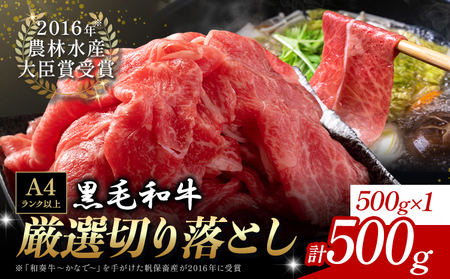 厳選 くまもと黒毛和牛 切り落とし 500g《30日以内に出荷予定(土日祝除く)》熊本県 大津町 和牛焼肉LIEBE くまもと黒毛和牛 切り落とし 冷凍 リーベ