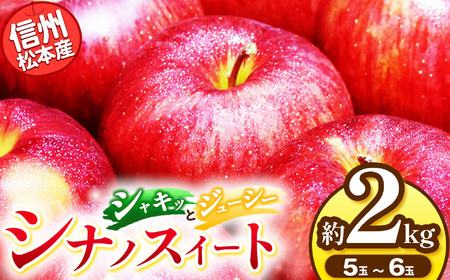 【先行受付】信州松本産　シナノスイート　５～６玉約２kg 通常品