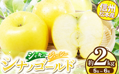 【先行受付】信州松本産　シナノゴールド　5～6玉約2kg 通常品