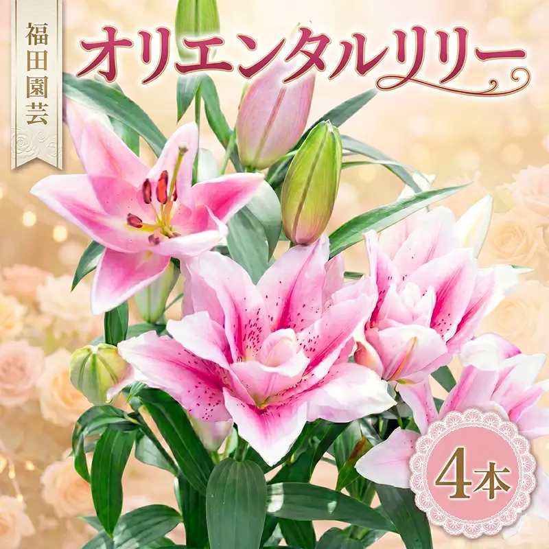  ユリ(オリエンタルリリー)4本【ユリ】