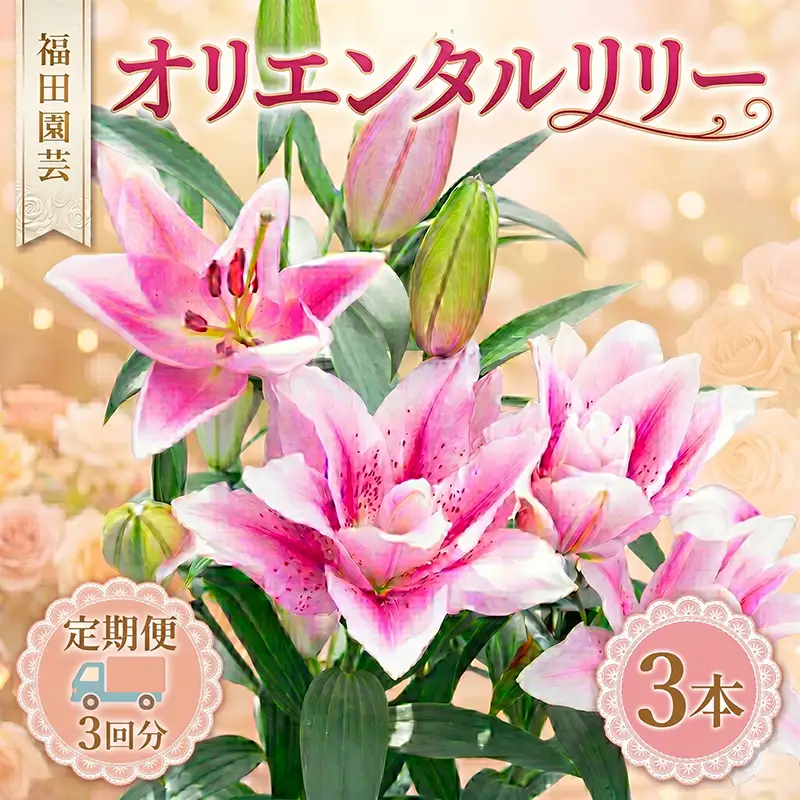  ユリ(オリエンタルリリー)3本 3ヶ月定期便【ユリ】