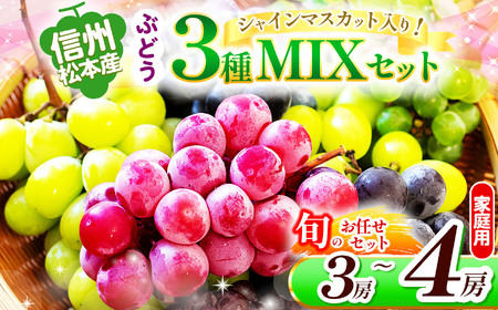 【先行受付】信州松本産　ぶどう3種MIXセット（シャインマスカット入り） 3～4房(約1.8kg) お任せセット 家庭用