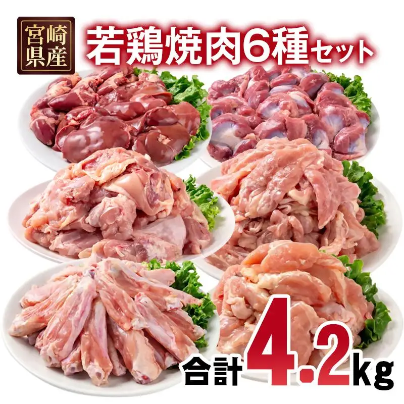 宮崎県産若鶏 6種 合計4.2kg 小分け もも肉 砂肝 手羽中ハーフ等々6種 小分け 15パック＜70-11a＞