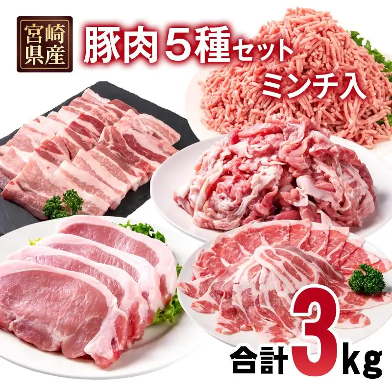 宮崎県産豚肉 5種 合計3kgセット スライス とんかつ 焼肉 切り落とし ミンチ 小分け 11パック＜70-22a＞