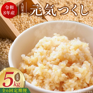 【定期便6回】【令和8年産 新米】福岡県産ブランド米元気つくし 玄米 5kg×6回 _  元気つくし 5kg お届け回数 6回 定期便 福岡県産 ブランド米 新米 福岡生まれ 品種 香り豊か ふっくら 食感 ご飯 おにぎり 弁当 お米 食品 お取り寄せ 九州 久留米市産 福岡県 久留米市 送料無料  〔Tk115-06〕