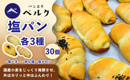 塩パン全種食べ比べ 30個セット / 塩パン あん塩 メロンパン 食べ比べ 惣菜パン パンセット 冷凍パン 朝食 おやつ ぱん 菓子パン ベーカリー / 稲沢市 / パン工房ベルク [BMAF013]