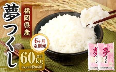 【6ヶ月定期便】 精米 食味鑑定士厳選 夢つくし 10kg（5kg×2袋）×6ヶ月 合計60kg 米 こめ コメ お米 単一原料米