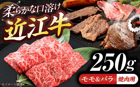近江牛モモ＆バラ（焼肉）250g  栗東市 / 有限会社 岡山[BIBE071]