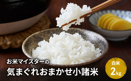 【古久庄 村松商店】お⽶マイスターの気まぐれお任せ⼩諸⽶（2kg）信州 長野 ごはん ご飯 コメ コシヒカリ あきたこまち つきあかり 風さやか ひとめぼれ ゆうだい24 ブレンド米