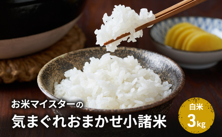 【古久庄 村松商店】お⽶マイスターの気まぐれお任せ⼩諸⽶（3kg）信州 長野 ごはん ご飯 コメ コシヒカリ あきたこまち つきあかり 風さやか ひとめぼれ ゆうだい24 ブレンド米