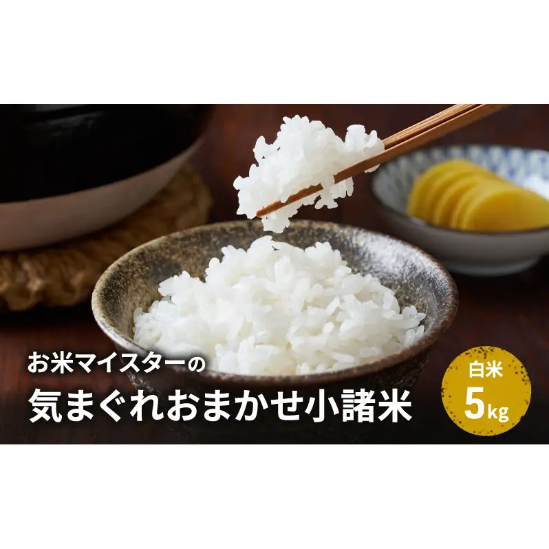 【古久庄 村松商店】お⽶マイスターの気まぐれお任せ小諸米（5kg）信州 長野 ごはん ご飯 コメ コシヒカリ あきたこまち つきあかり 風さやか ひとめぼれ ゆうだい24 ブレンド米