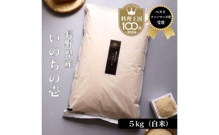 ベストファーマーズ賞受賞 いのちの壱 白米 5kg 無農薬 令和7年産 米 お米 小分け  産地直送 長野