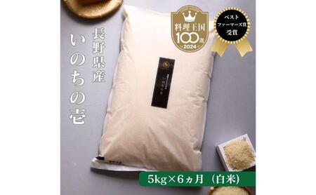 定期便 6ヶ月 ベストファーマーズ賞受賞 いのちの壱 白米 5kg 無農薬 令和8年産 米 お米 チャック付 チャック 小分け  産地直送 長野 定期 6回