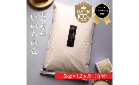 定期便 12ヶ月 ベストファーマーズ賞受賞 いのちの壱 白米 5kg 無農薬 令和8年産 米 お米 チャック付 チャック 小分け  産地直送 長野 定期 12回