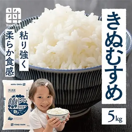 おいしいお米(5kg) 無洗米 リピーター続出 きぬむすめ【1184608】
