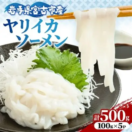 ヤリイカソーメン宮古産100g×5パック(500g)【配送不可地域：離島】【1702172】