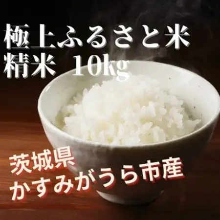 極上ふるさと米　精米10kg【配送不可地域：離島・北海道・沖縄県】【1703566】