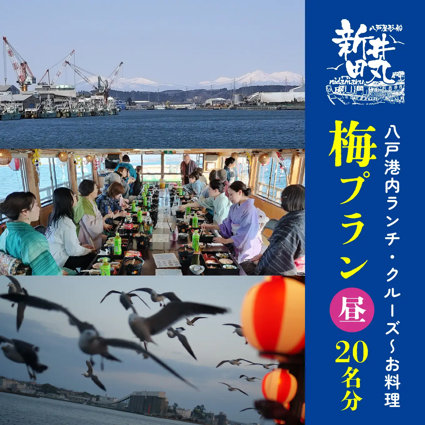 ブルーカンパニー 新井田丸 ＜青森県で唯一の屋形船＞  八戸港内ランチ・クルーズ 【お料理：梅プラン、昼】 チケット 20名分 新鮮魚介類 うみねこ餌付け体験 バードウォッチング 青森県 八戸市