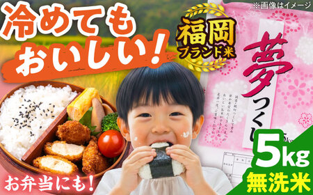 【令和7年度産】無洗米 夢つくし 5kg 精米 [BGBV013]