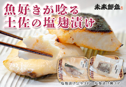 塩麹漬け 鯛 ぶり切り身 各3P セット 真鯛 鰤 タイ ブリ 塩麹 漬け 国産  海鮮 海産物