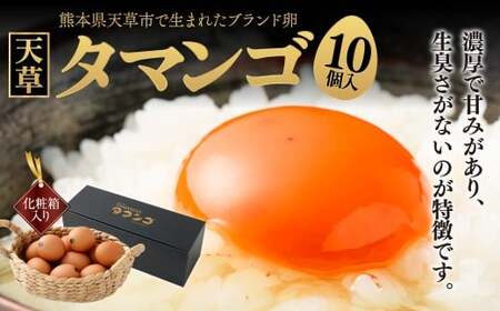 熊本県天草市で生まれたブランド卵「天草タマンゴ」10個入 化粧箱入 卵 たまご タマゴ 生卵 生たまご 卵黄 卵 熊本県 天草市 