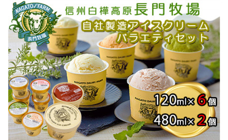 長門牧場アイスクリーム大小セットC　6種のフレーバー詰め合わせ（バニラ、チョコレート、抹茶、ヨーグルト、いちご、あんず）　人気スイーツ　濃厚ミルク　直送　牛乳　生乳　国産　夏ギフト　長野県　贈答品　お土産　お中元　お歳暮　クリスマス