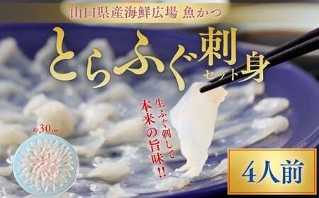 【ふぐ】 とらふぐ刺身 4人前 冷蔵