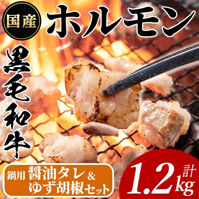 国産 黒毛和牛 ホルモン 計1.2kg(400g×3P)&鍋用醤油タレ(濃縮タイプ：30g×1P)&ゆず胡椒(1個)  牛肉【ナンチク】A998
