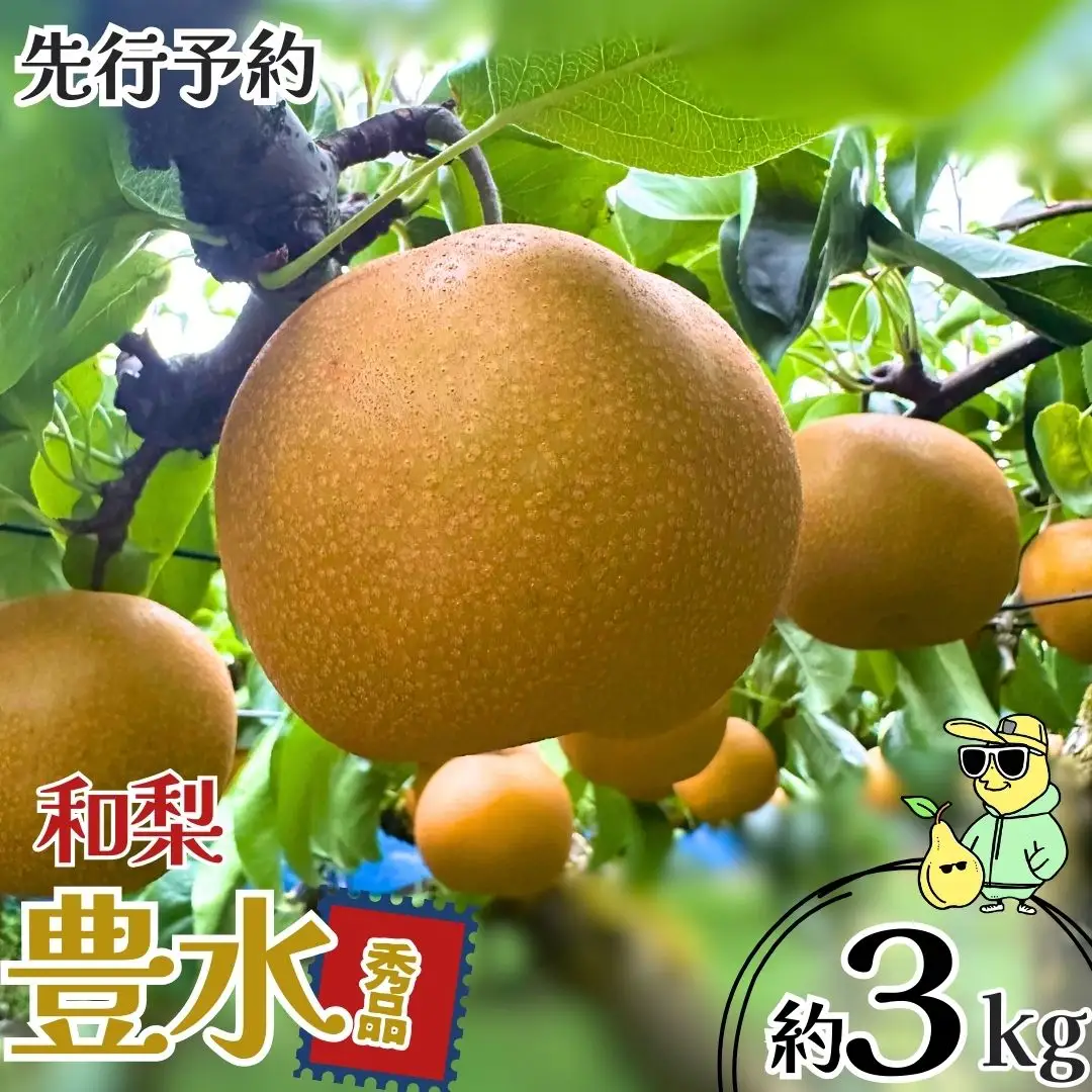 先行予約 和梨 豊水 約3kg 秀品 令和8年度 冷蔵 新潟フルーツ 新潟県産 梨 [三条ファームWIN]