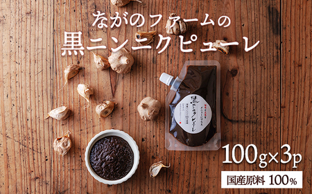 毎日の食卓に、簡単・便利・おいしい！ 国産黒ニンニクピューレ 100g×3p　TF0891-P00032