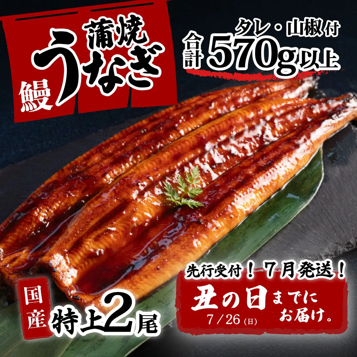 【土用の丑の日お届け】 国産 特上うなぎ 蒲焼き 2尾 570g以上 ウなぎ