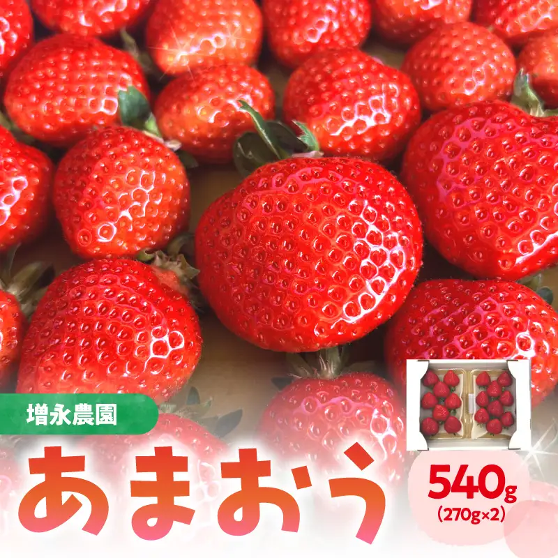 【増永農園】 あまおう 270g×2パック 【2027年1月より順次発送】 ジューシー フレッシュ 苺 果物 くだもの スイーツ作り 数量限定 イチゴ 期間限定 美味しい いちご 福岡県 八女市 190-001