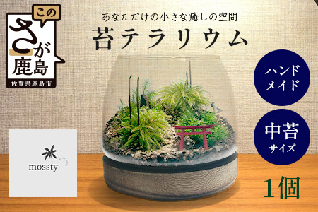 H-53　苔テラリウム　手入れ簡単 癒やしのインテリア 卓上サイズ 誕生日 プレゼント雑貨 敬老の日 贈り物 観葉植物 初心者 鹿島市産 / mossty