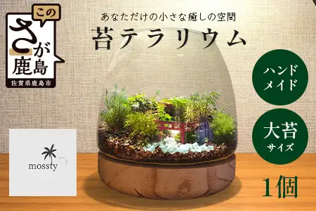 J-33　苔テラリウム　手入れ簡単 癒やしのインテリア 卓上サイズ 誕生日 プレゼント雑貨 天然苔 贈り物 観葉植物 初心者 ミニチュア 鹿島市産 / mossty 