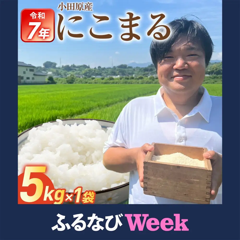 【ふるなびWEEK対象】令和7年産　富水米　精米　5kg　にこまる ●