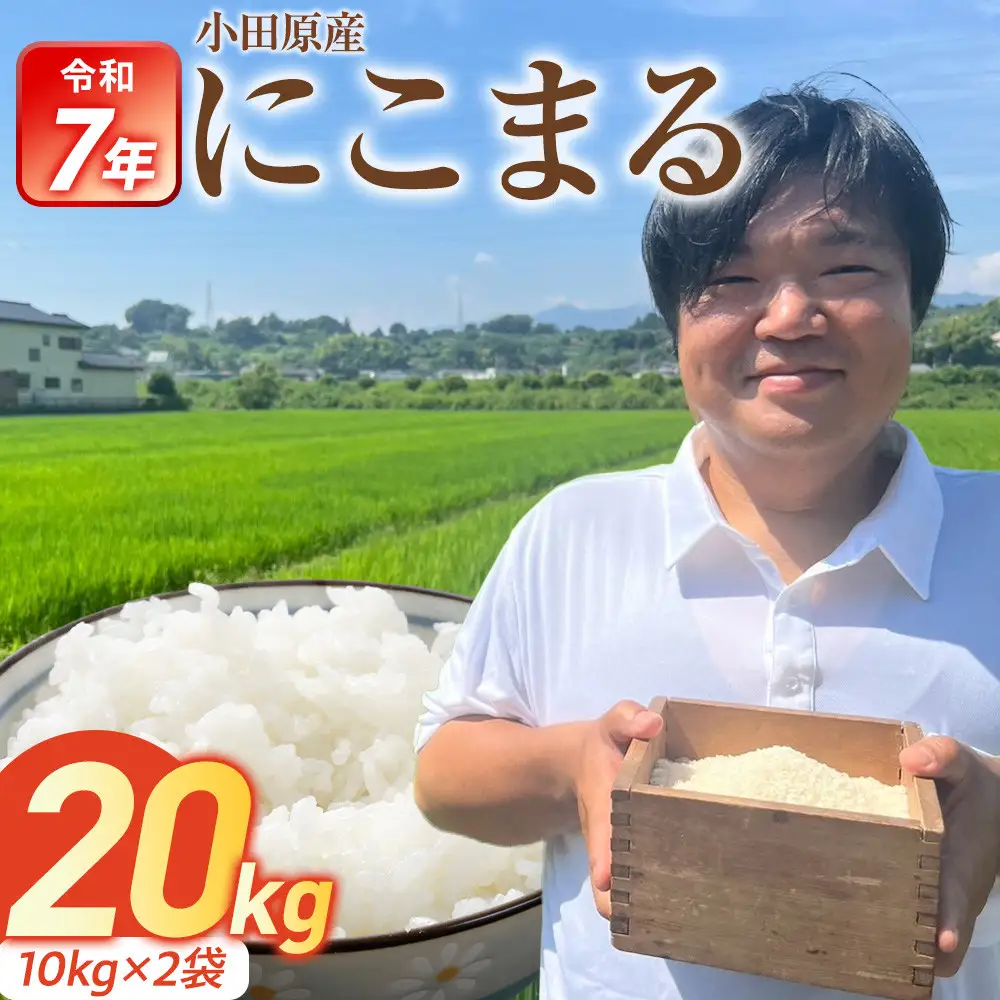 【期間限定・数量限定！】令和7年産　富水米　精米　20kg　にこまる