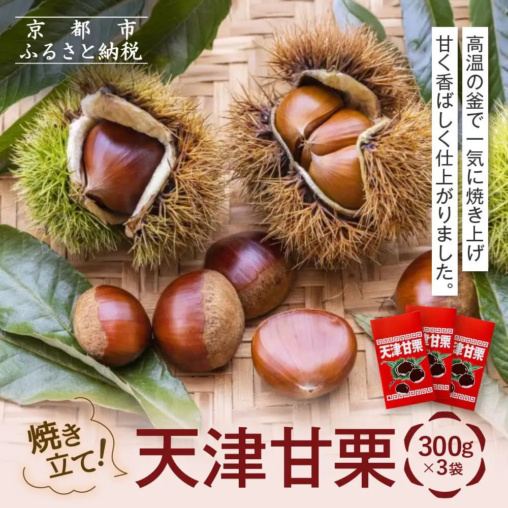 焼き立て! 天津甘栗300g×3袋｜京都 甘栗 人気