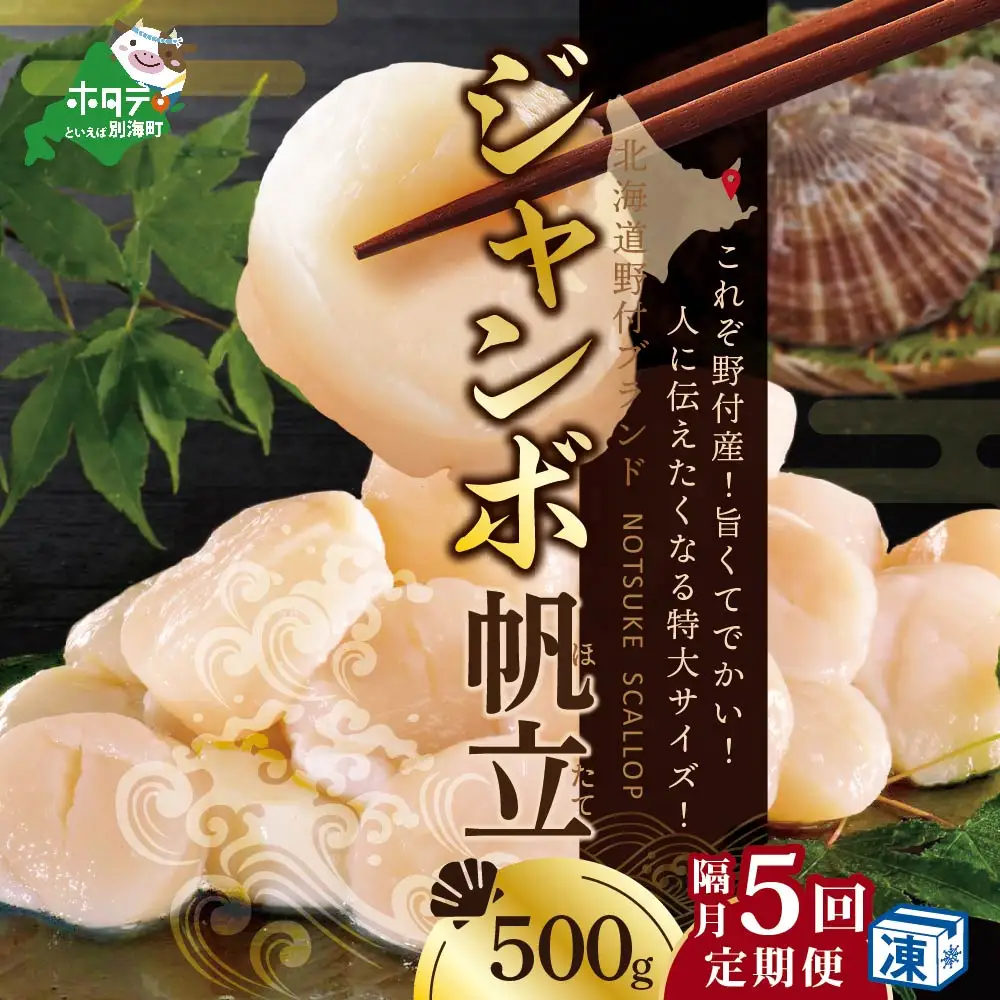 隔月5回定期便 北海道 野付産 ホタテ ジャンボ ホタテ 500g ほたて 貝柱
