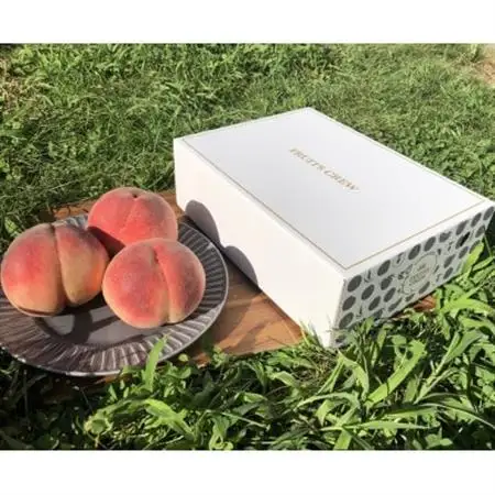 【桜色に輝く高糖度 さくら白桃】本場山梨の品種指定約2kg　8月中旬より順次発送【配送不可地域：離島・北海道・沖縄県・中国・四国・九州】【1704739】