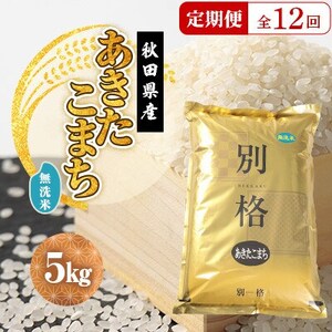 【毎月定期便】あきたこまち 無洗米 5kg全12回【配送不可地域：離島・沖縄県】【4080822】