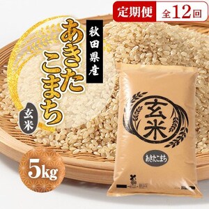 【毎月定期便】あきたこまち 玄米 5kg全12回【配送不可地域：離島・沖縄県】【4080840】