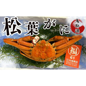 丸福商店社長厳選　鳥取港松葉ガニ