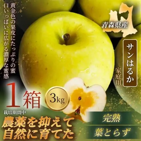 【青森直送 季節の味覚をお届け!】サンはるか 3kg×1箱(家庭用)青森産 産地直送 限定生産【配送不可地域：離島】【1700925】