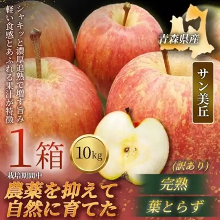 【青森直送 季節の味覚をお届け!】サン美丘 10kg×1箱(訳あり)青森産 産地直送 限定生産【配送不可地域：離島】【1700932】