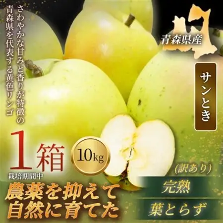【青森直送 季節の味覚をお届け!】サンとき 10kg×1箱(訳あり)2026年産 産地直送 限定生産【配送不可地域：離島】【1700986】